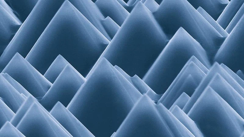 RENA Partners India's Kredence To Bolster Solar Manufacturing Supply Chain Services