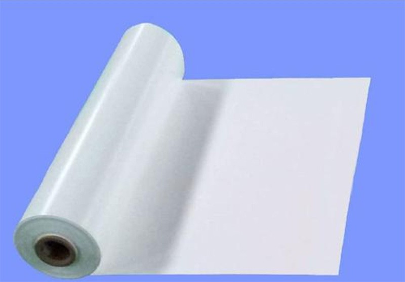 Backsheet of solar PV